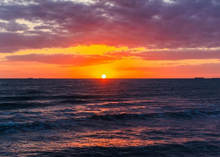 Sea La Vie